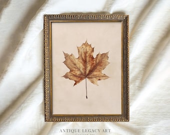 May include: A framed print featuring a detailed, brown maple leaf against a cream background. The leaf is centered within a decorative, gold-toned frame. The text "ANTIQUE LEGACY ART" is printed at the bottom of the frame.