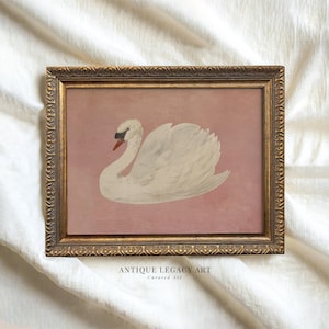 Vintage White Swan Watercolor Painting | Modern Minimalist Bird Printable Wall Art | Rustic Farmhouse Pink Nursery Decor | Digital Download
