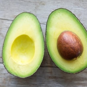 Clonal Rootstock LAMB HASS Avocado Tree - Grafted