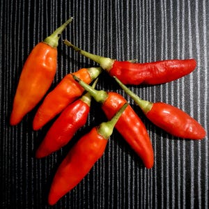 hot chili capsicum 100 seeds small chili pepper