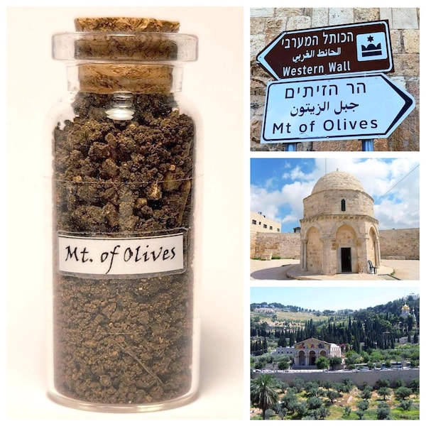 Mt. of Olives † Sand † Soil † Olivet Discourse † Ascension of Jesus † Jerusalem † Israel † Holy Land