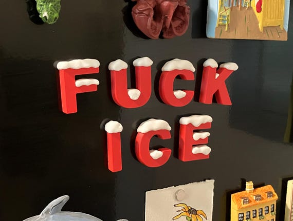 FUCK ICE letter magnets, 50% to Detained Immigrant Fund