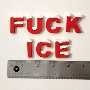 Pu&ograve; includere: Lettere rosse che compongono la scritta "FUCK ICE" con accenti di neve bianca in cima. Un righello di metallo con misure in pollici &egrave; sotto le lettere. Le lettere sono alte circa 2,5 cm.