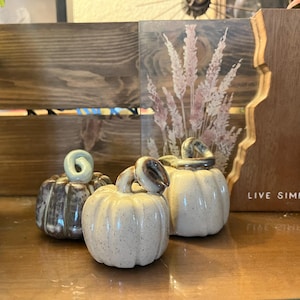 May include: Three small ceramic pumpkins with curled stems. One pumpkin is dark brown with a glossy finish, while the other two are off-white with dark speckles. A wooden sign with the text "LIVE SIMPLY" is positioned behind the pumpkins.