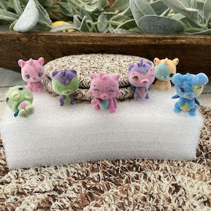 Hatchimals Bloomables Bloom Bash coffret 6 figurines avec accessoires