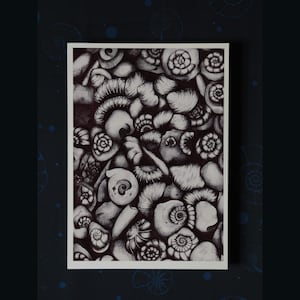 May include: Black and white pen and ink drawing of various seashells and marine life. The artwork is presented on a white rectangular surface, with a dark blue background. The detailed illustration showcases a variety of shell shapes and textures.