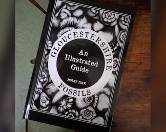 Gloucestershire Fossils: An Illustrated Guide
