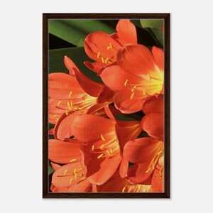 Red and Orange Flowers Close-Up Framed Canvas Wall Art Bold Botanical Photography Print for Home Décor