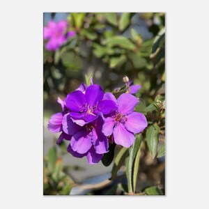 Purple Flower Plant Lovers Gift Canvas wall hanging for home wall decor