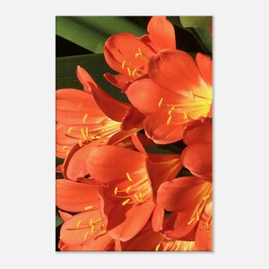 Orange and Yellow Flower Photography Canvas Wall Hanging for Kitchen Home Office Wall Decor