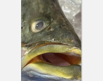 Fish Head Photography Canvas Wall Hanging for Kitchen Home Office Wall Decor