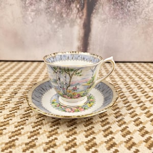 Royal Albert Silver Birch Teacup & Saucer: Hand-Painted English Bone China