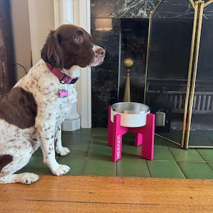 SnapStand™ Portable Pet Bowl Riser | Fits YETI® 8 & HydraPeak® 8 Bowls | Interlocking Travel Dog Bowl Stand | 3 Sizes | Personalized