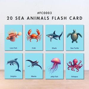 Sea Animal Flashcard Printable | 20 Digital Flash Cards for Kids Learning | Printable PDF