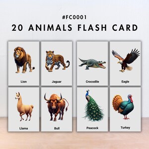 Animal Flashcard Printable | 20 Digital Flash Cards for Kids Learning | Preschool PDF