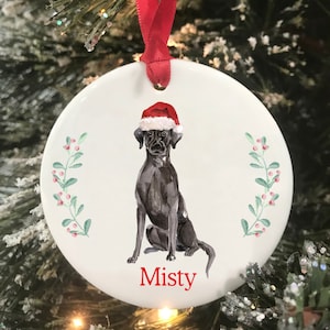Black Lab Dog Personalized Name Christmas Ornament, Choose From Dog Breeds Pet Christmas Gift, Ceramic Ornament, Keepsake Ornament