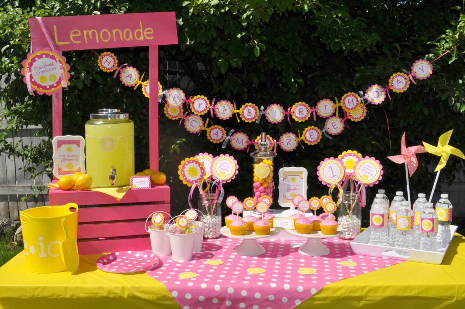 Lemonade and Sunshine Water Bottle Labels Birthday Party Etsy