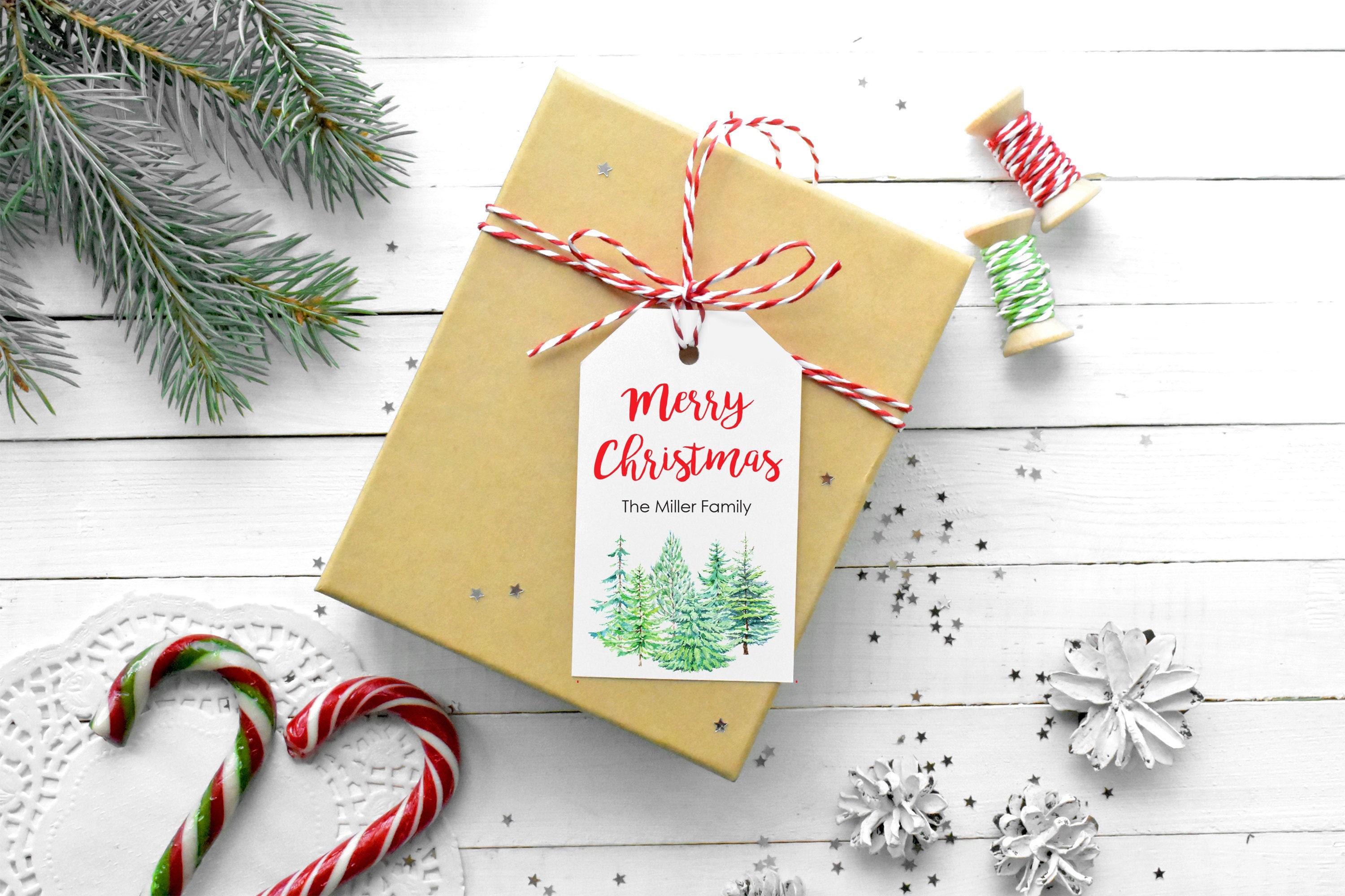 Christmas Gift Tags, Merry Christmas Personalized Tags Gift Labels, Christmas Tree Gift Tags, Happy Holidays Gift Wrapping - Set of 12 Tags