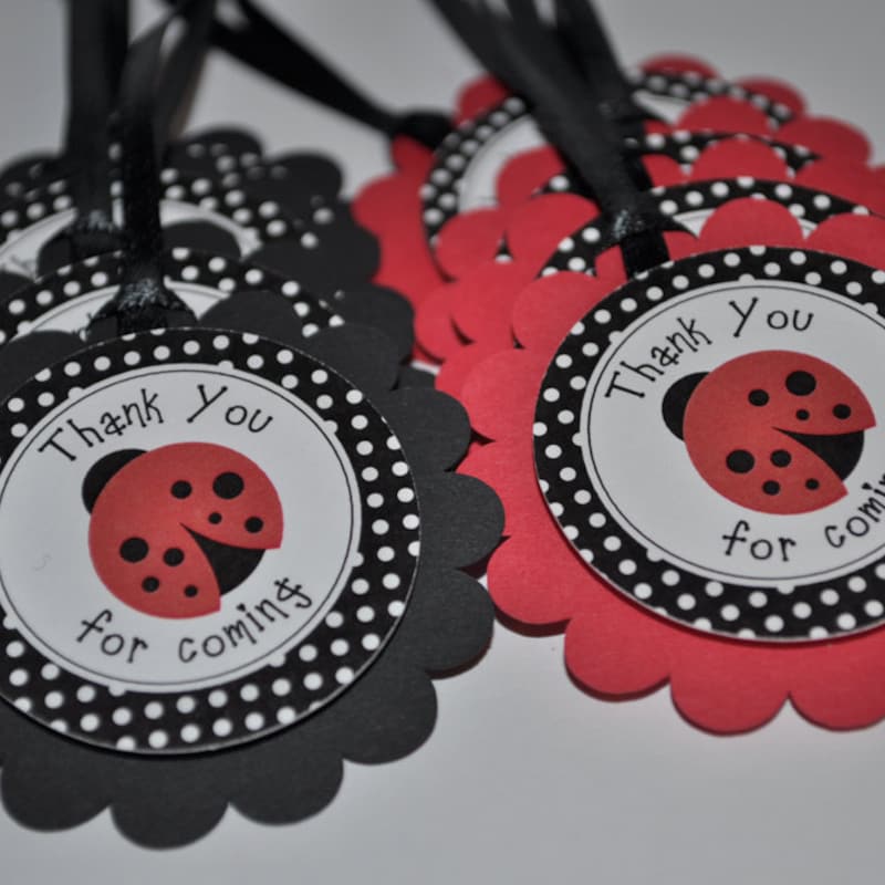 Ladybug Favor - Etsy
