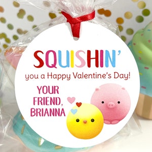 Squishy Toy Valentine Tags and Bags School Valentines Day Exchange Classroom Party Valentines Personalized Tags - Tags and Bags Included