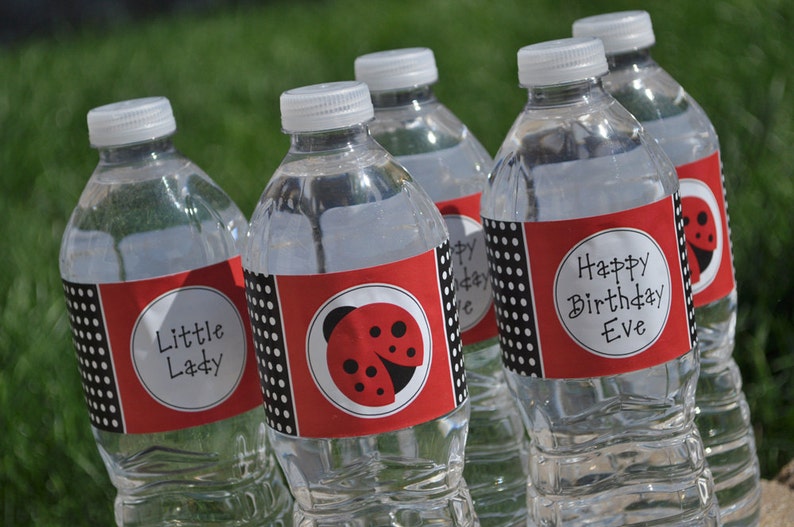 Water Bottle Labels, Ladybug Birthday, Ladybug Baby Shower, Water Bottle Wraps, Personalized Party Decorations Set of 10 Labels image 1