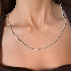 May include: A silver snake chain necklace. The necklace is worn around the neck and rests on the chest. The chain is thin and has a smooth, reflective surface. The background is a dark brown top.