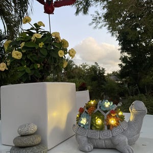 Solar Turtle Succulent Planter