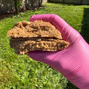 Snickerdoodle High-Protein Cookie Recipe: Cinnamon Sugar Variation (Digital Download)