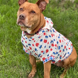May include: A brown and white dog wearing a white hooded shirt with a red, white and blue popsicle and star pattern. The dog is sitting on green grass.
