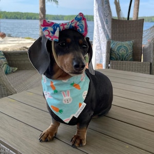 Dog Headbands