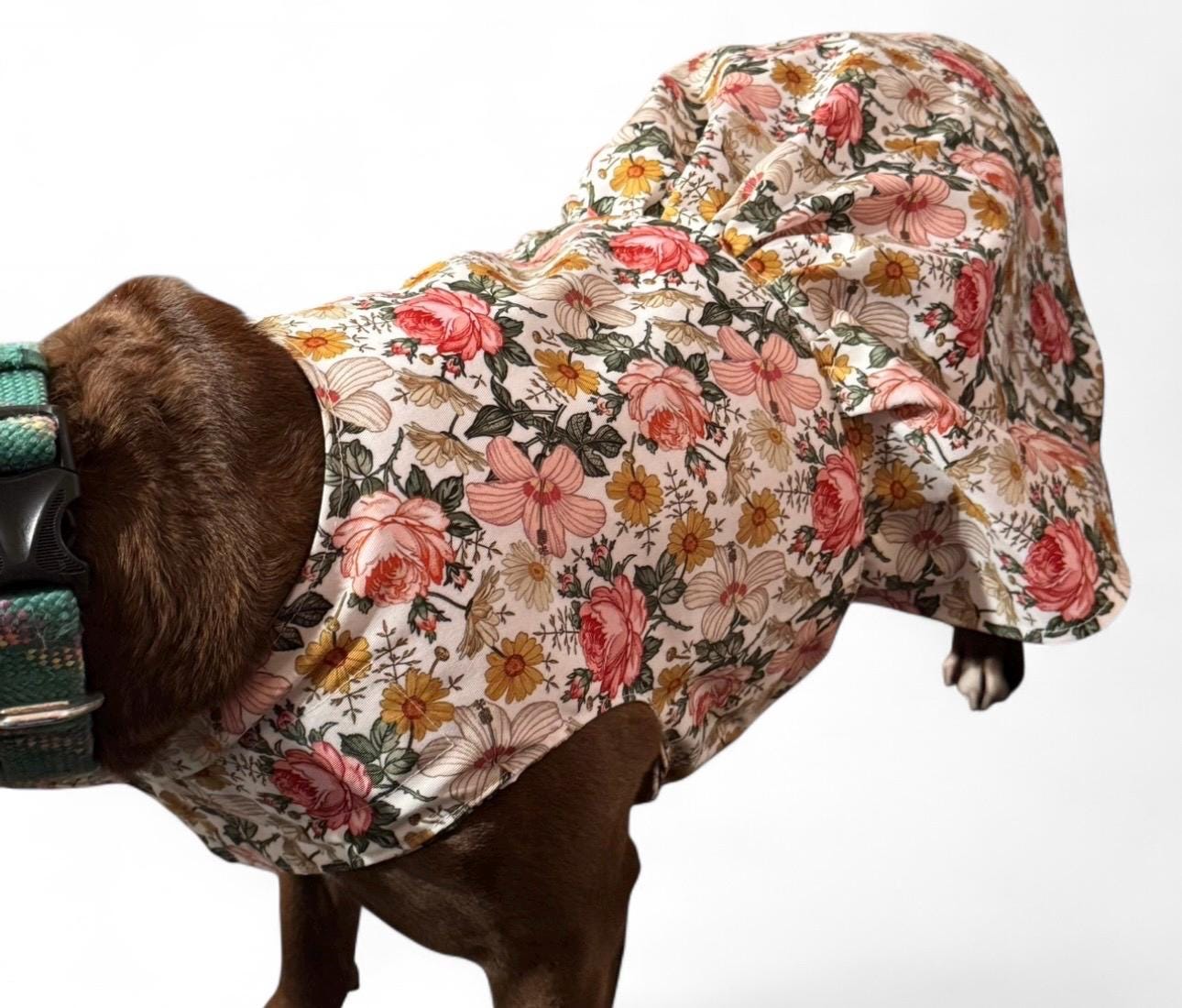 birthday dress for large dog Birthday Dog Dress