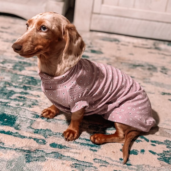 Clothing For Mini Dachshund