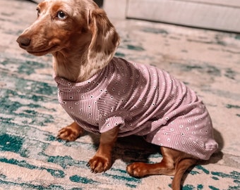 Dachshund T- Male