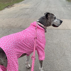 5XL “Great Dane/Mastiff” Hoodie PJs- Custom Prints