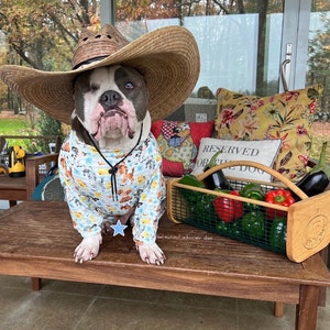 4XL “Pitbull” PJs