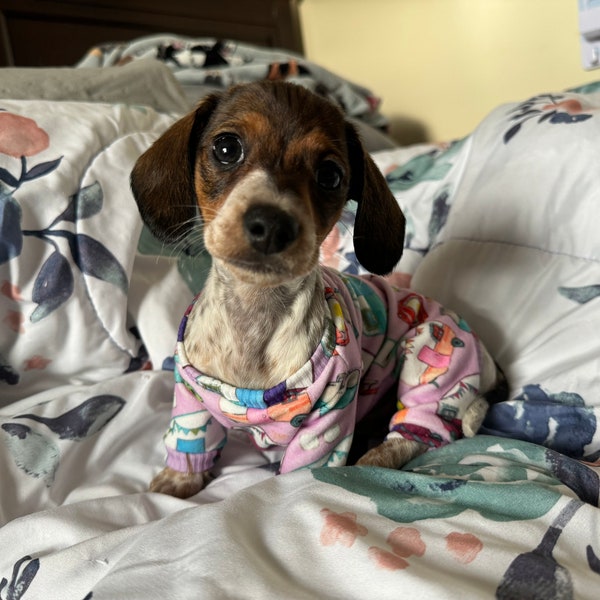 XXXS (In Between Micro and XXS) Dog Pajamas