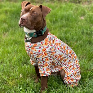 May include: A brown and white pit bull terrier dog wearing a white, gray, and red pizza-patterned dog onesie. The dog is sitting in a grassy field.