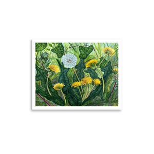 Poster botanico del dente di leone, 2