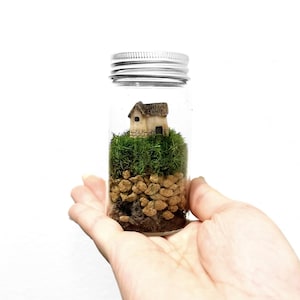 Tiny Terrarium Kit with live moss,Home Office Desk Decor,DIY Craft Indoor Plant, birthday gift,back to school gift for kid gift for her