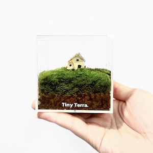 Tiny Terrarium Kit with live moss,Home Office Desk Decor,DIY Craft Indoor Plant, birthday gift,back to school gift for kid gift for her