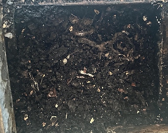 Worm casting, plant fertilizer