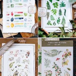 Pegatinas de transferencia impresas. Plantas , piedra de nacimiento , flor de tinta , antigüedades , pastel al óleo , LES FLEURS