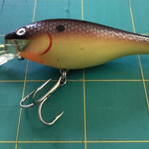 Shad Lure Pat Pending