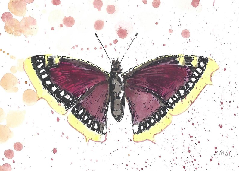 Mourning Cloak Butterfly Art Print: Whimsical Watercolor & Ink - Etsy
