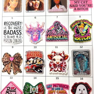 May include: A grid of sixteen decorative acrylic pins featuring various designs including dolls, cartoon characters, animals, and text-based slogans. The pins display colorful graphics, glitter accents, and phrases such as 'My cat said you're a bitch' and 'Recovery is the most badass thing a person can do'.