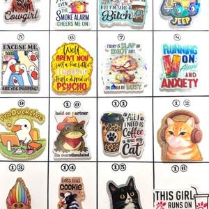 Acrylic Flat Backs, Interchangeable Acrylic, Badge Reel, Jeep, Duck, Cowgirl, Bad Word, Funny, Frog, Cat, Chick-Fil-A, Troll, Alani, Cow- 55