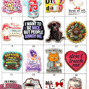 May include: A grid of sixteen decorative acrylic badges featuring various graphic designs, including text-based slogans, cartoon animals, food and beverage illustrations, and floral patterns, each with a distinct shape and colorful printed finish.