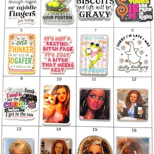 May include: A collection of sixteen rectangular and shaped acrylic pins featuring various humorous text-based designs, illustrations of frogs, a duck, and expressive doll faces with captions like I don't think there will be enough coffee.