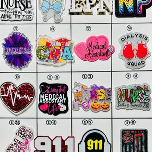 Acrylic Flat Backs, Interchangeable Acrylic, Badge Reel, Nurse, CNA, Alzheimers, Dialysis, 911, RN, LPN, Holiday, Healthcare -Board 56