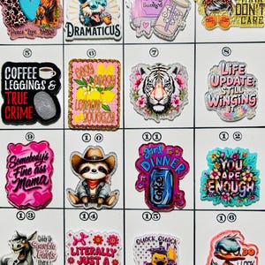Acrylic Flat Backs, Interchangeable Acrylic, Badge Reel, Biker, Horse, Tiger, Bad Word, Diet Coke, Book, True Crime, Sloth, Funny-Board 17